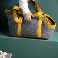 🐾 Hundetasche Farbe | 100 % Schurwolle Loden
