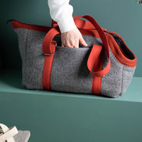 🐾 Hundetasche Farbe | 100 % Schurwolle Loden