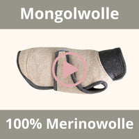 Merinowolle aus der Mongolei ist besonders nachhaltig