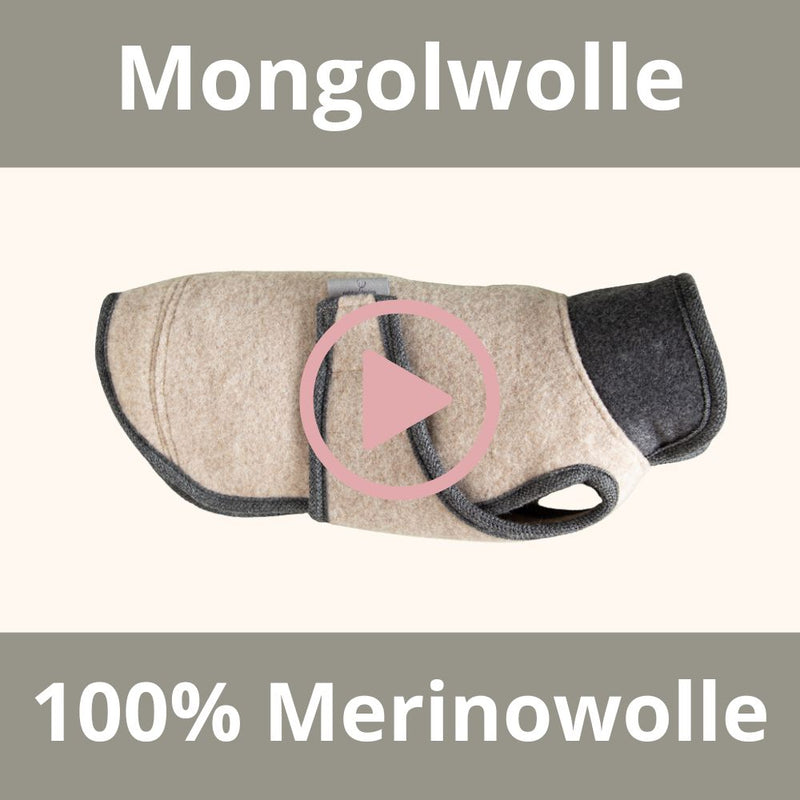 Merinowolle aus der Mongolei ist besonders nachhaltig