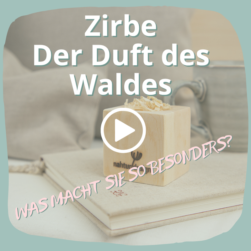 Zirbenwürfel Duftwürfel oder Teelichthalter