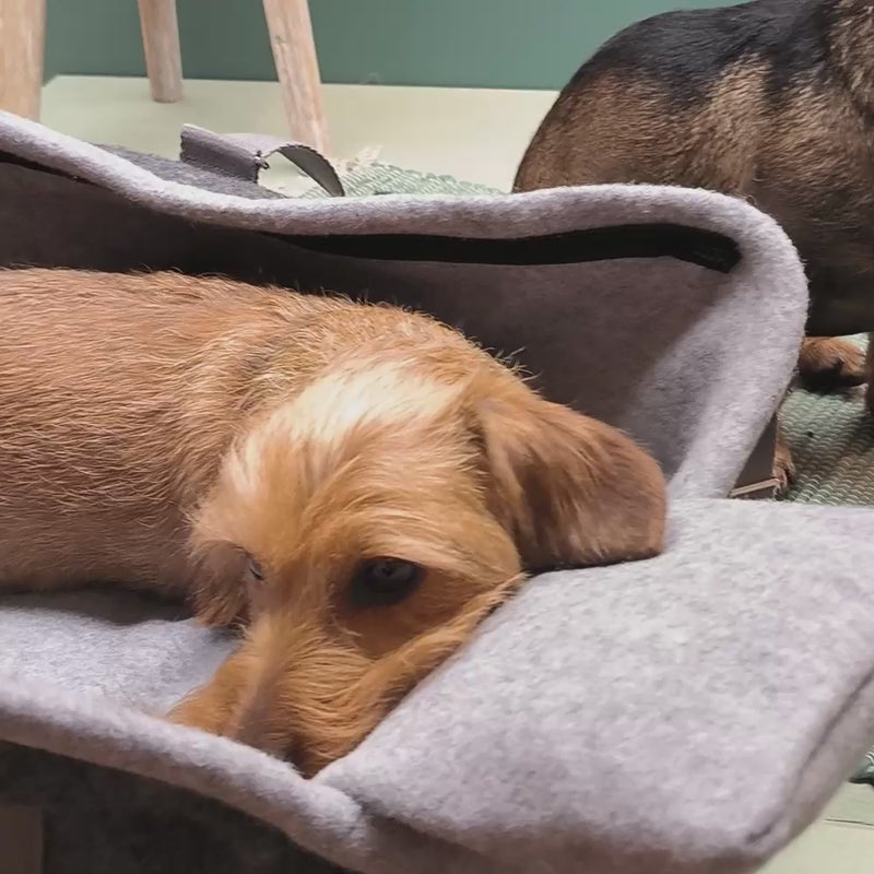 Produktvideo Hundetasche