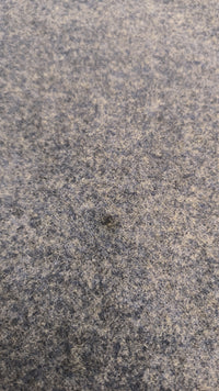 Warme Wolldecke |EINZELSTÜCK | blau | XL